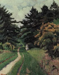 Het Dennenbos bij Chipperfield Common