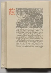 De Koningin van de Vissen: Plaat 11