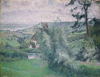 Wilgen, Visvijver, Dorset