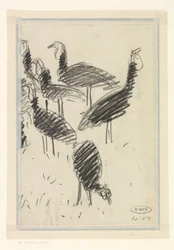 Zes vogels