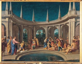 De Probatic Pool