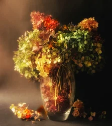 Stilleven met verwelkende hortensia