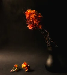 Sfeervolle herfstbloemen
