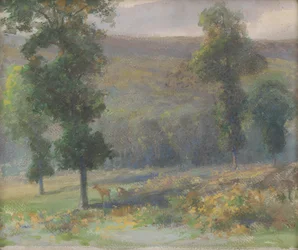 Herten in het bos