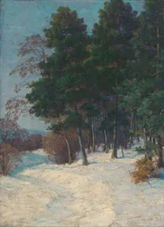 Bos in de winter