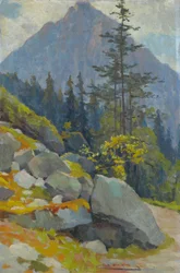 Tatra-gebergte