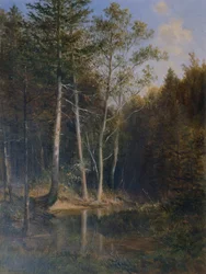 Bosgedeelte bij de Gerichtsberg bij Kaumberg