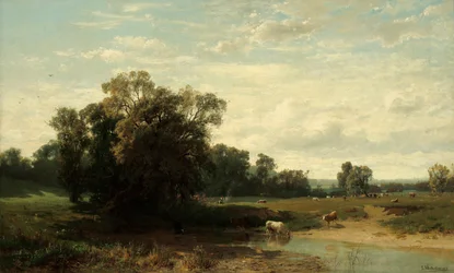 Weide bij ochtendstemming