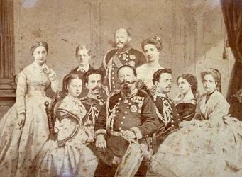 Het schilderij toont verschillende leden van de koninklijke familie van Savoye. In het midden, zittend, Victor Emmanuel II, Umberto I en Amedeo in vol ornaat; de dochters van de soeverein en Elisabetta van Saksen in elegante kleding.