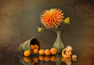 Herfstdahlia en mandarijnen