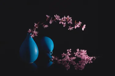 Kersenbloesems en blauwe vazen
