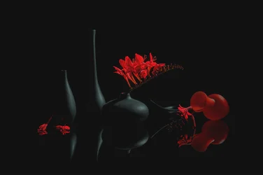 Karmozijnrode bloemen en zwarte vazen