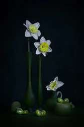 Narcissen, groen stilleven