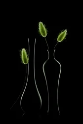 Elegant groen stilleven