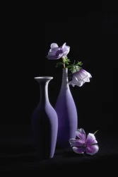 Elegante paarse anemonen