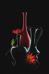 Elegante vazen in bloei