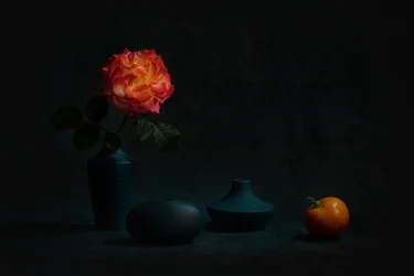 Gloeiende oranje roos