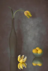 Sierlijke tulp en citroenen