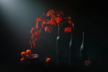 Sfeervol herfststilleven