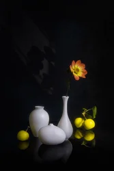 Sfeervolle bloem en vrucht