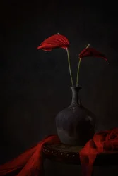 Sfeervolle rode anthuriums