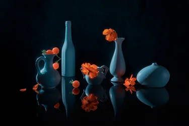 Oranje bloemen, blauwe vazen