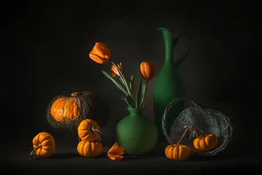 Oranje-groene herfstoogst
