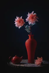 Roze dahlia
