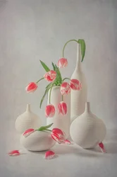 Zachtroze tulpen