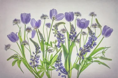Zachte paarse bloemen