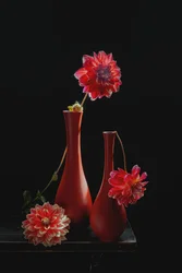Levendig stilleven met dahlia