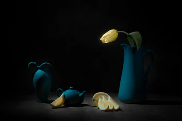 Blauw stilleven met gele tulp