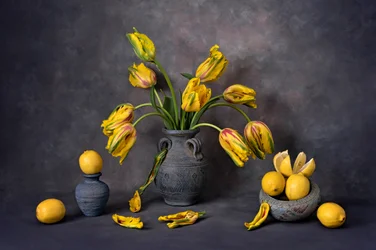 Gele tulpen en citroenen