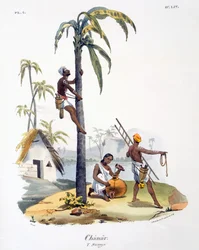 Een man van de Nadar-kaste die een palmboom beklimt, 1827-35