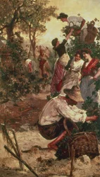 De Druivenoogst