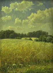 Een haverveld