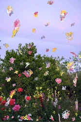 Geabstraheerde bloemen