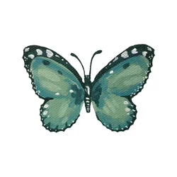 Elegante blauwgroene vlinder