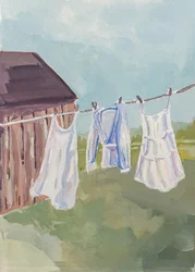 Zomerse wasdag