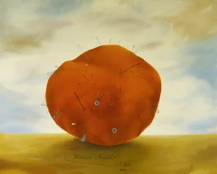 Het hart van vrouwen