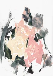 Abstracte roze rozen