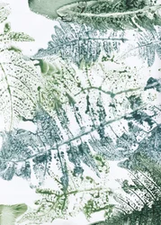 Botanische varenafbeeldingen