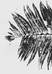 Botanisch varensilhouet