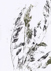 Botanische grasprint