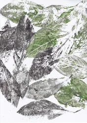 Botanische bladprints