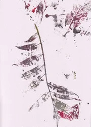 Dark Leaf-indrukken