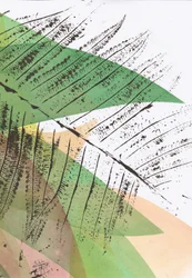 Abstracte weergave van verse varens
