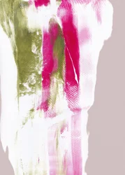 Fuchsia-groene strepen