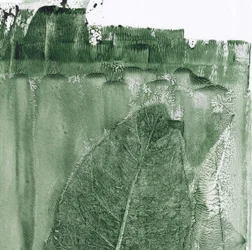 Groenblad-indruk