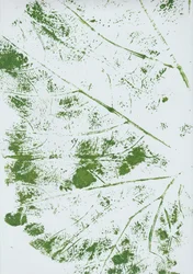 Groenblad-indruk